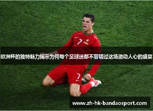 欧洲杯的独特魅力揭示为何每个足球迷都不容错过这场激动人心的盛宴